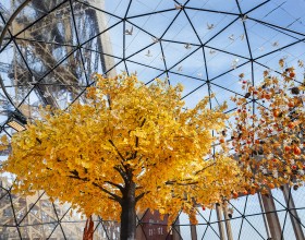 Foto de la terraza en otoño de 2025