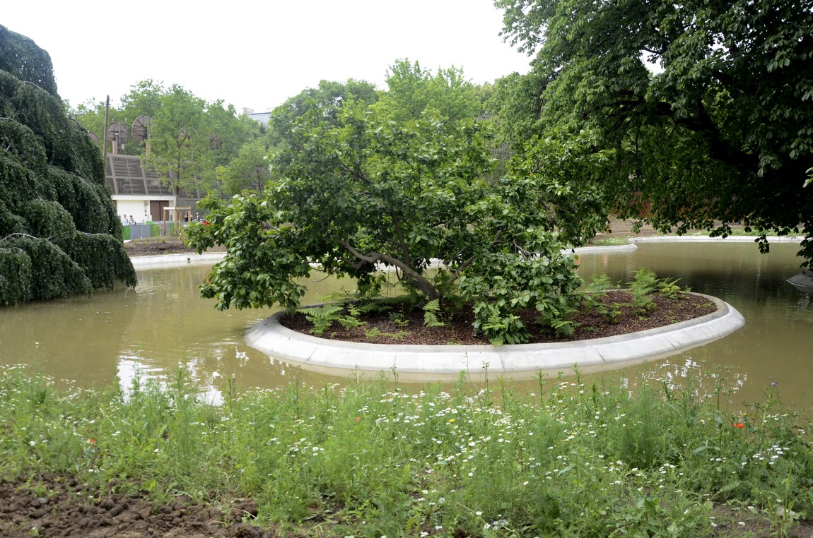Foto jardín y estanque