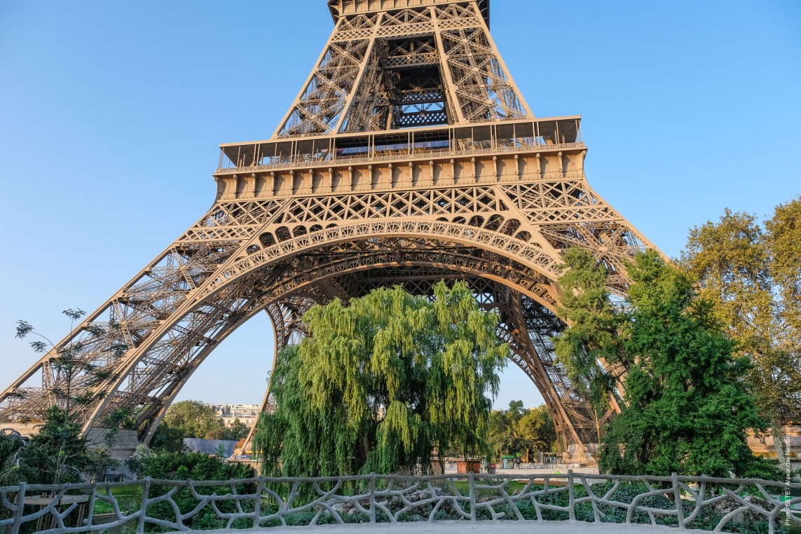 Foto Los jardines de la Torre Eiffel