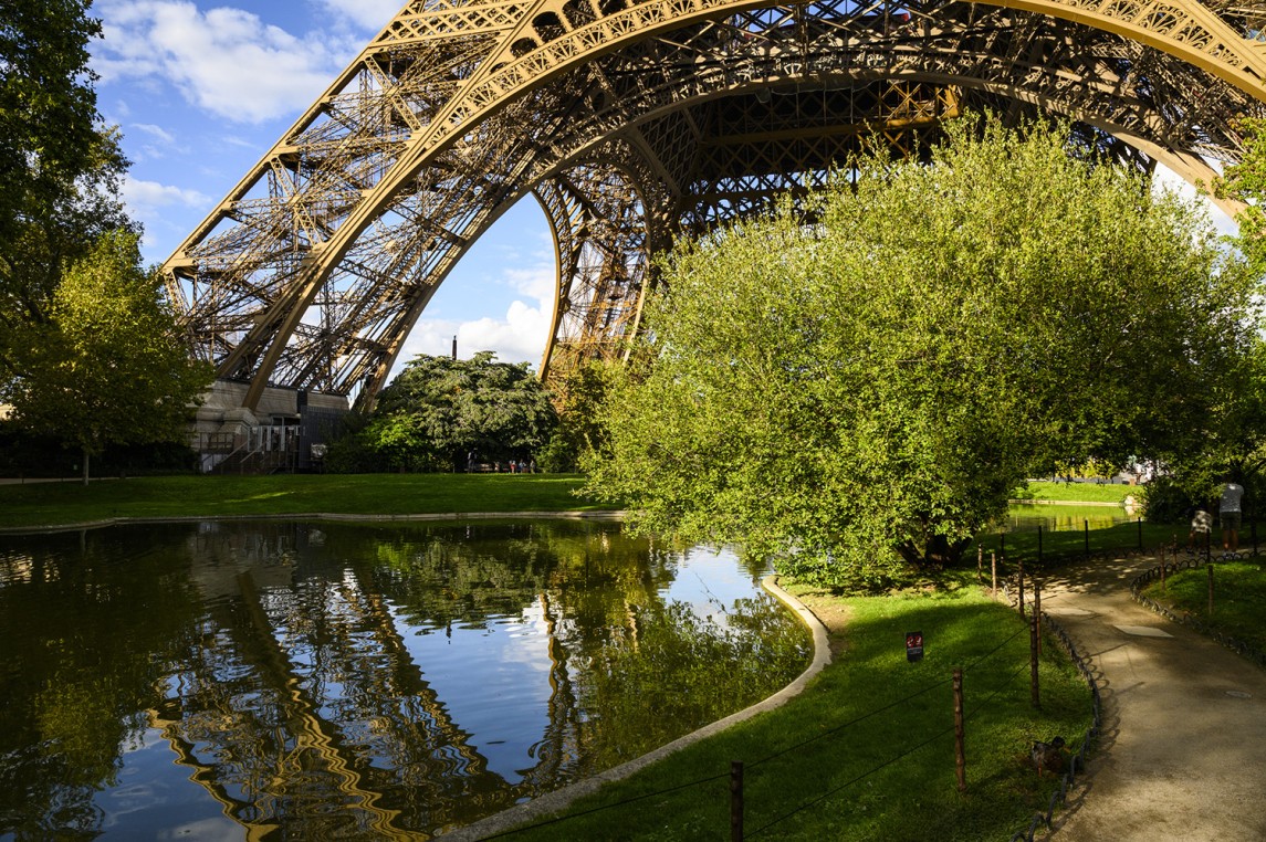 Foto tomada desde los jardines de la Torre Eiffel